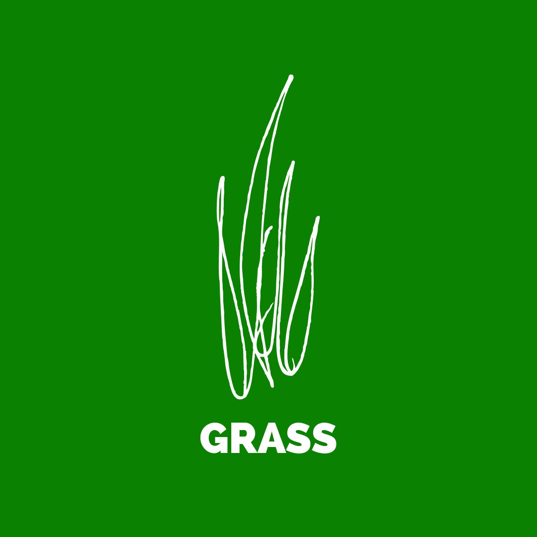 Grass business oy
